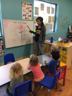 Early Teaching