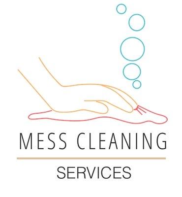 Mess Cleaning Services