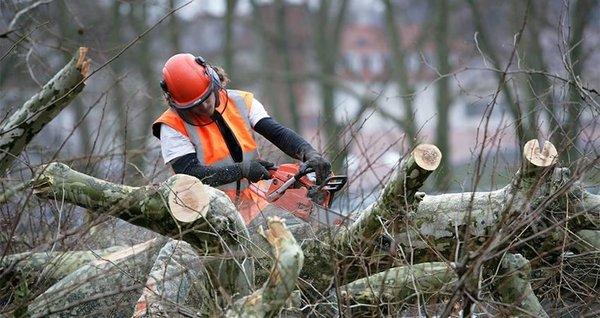 Bubba's Cleanout & Yard Services