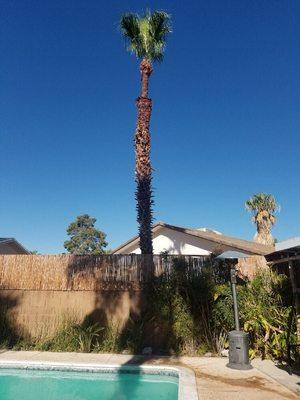 Sun City Tree Service