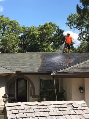 Shingle Roof Cleaning