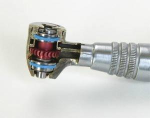 Handpiece Cutaway