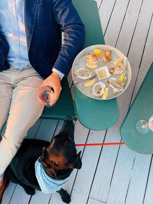 Oysters out on the porch overlooking the ocean