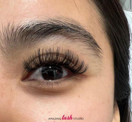 Amazing Lash Studio