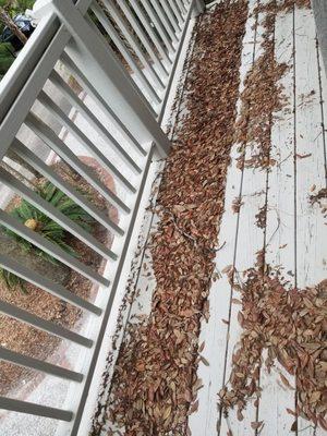 Leaves on deck from master bedroom