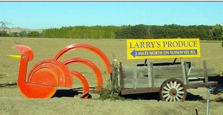 Larry's Produce in Suisun Valley