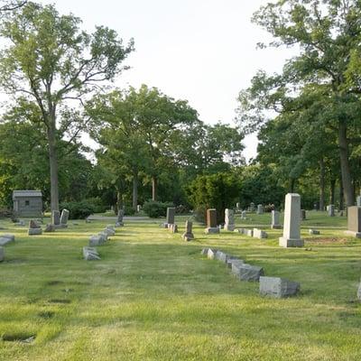 Our well-manicured lawns.