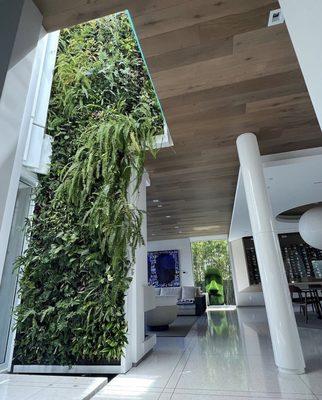 Long vertical garden for a home!