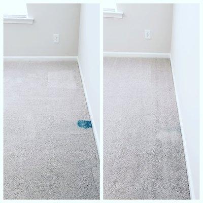 Spotless Clean & Carpet Care