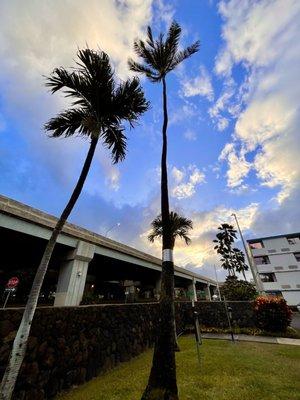 Airport Honolulu Hotel