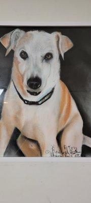 Man's best friend commission piece. Drawn from a photo send by cell phone. The original is a better view than this photo.