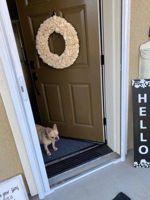 The retractable screen door frame should sit inside the original door frame