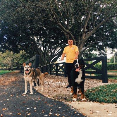 Joey walking Thurman and Lucy!