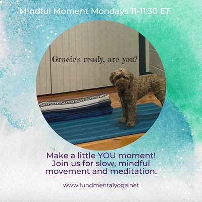 Gentle movement, meditation and breathwork at fundamentalyoga.net