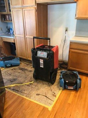 Dehumidifiers, and air movers carefully set using calculations to ensure complete water damage mitigation. Orting, WA