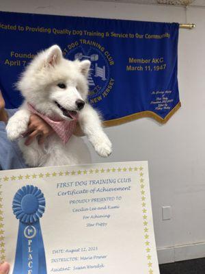 First Dog Training Club of Northern New Jersey, Inc.