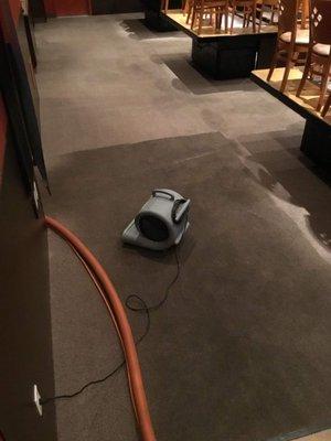 PEAK Carpet Cleaning