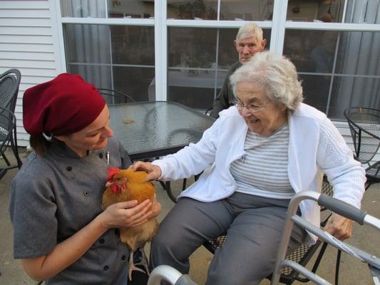 Our residents enjoying our 3 chickens on our dining patio