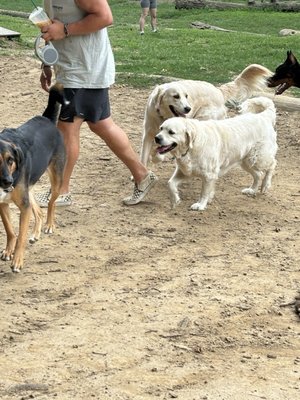 Buddy and the friendly dog.