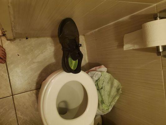 Less than a foot from the toilet seat to the wall. If my shoe wasn't at an angle the heal would have been halfway to the hole in the seat.