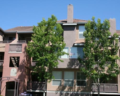 Sold for a set fee, Stevenson condos