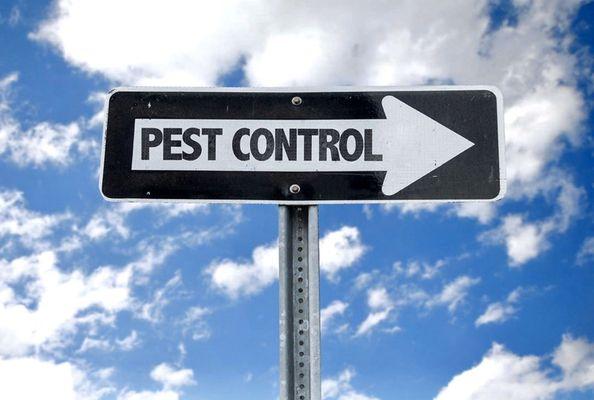 Gulf coast pest control