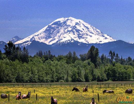 Mount Rainier, Washington