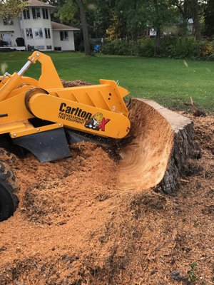 Quality Stump Grinding of Minnesota