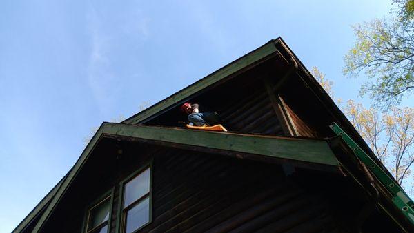 Staining a log home