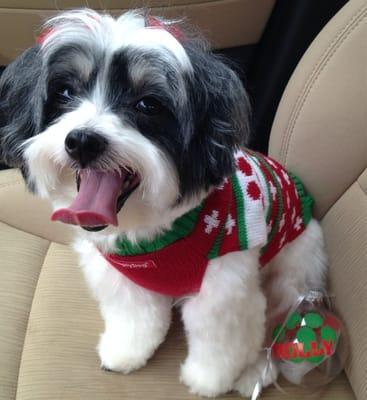 "Fuzzy Friends making me look good for Christmas!...I am now on Santa's nice list!!" Love, Molly!!