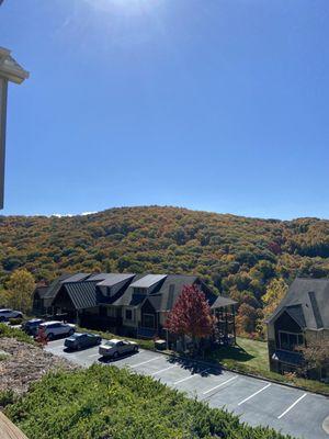 View from back porch of a unit.