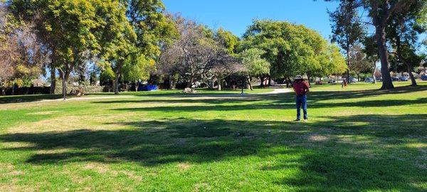 Beautiful spacious lawns