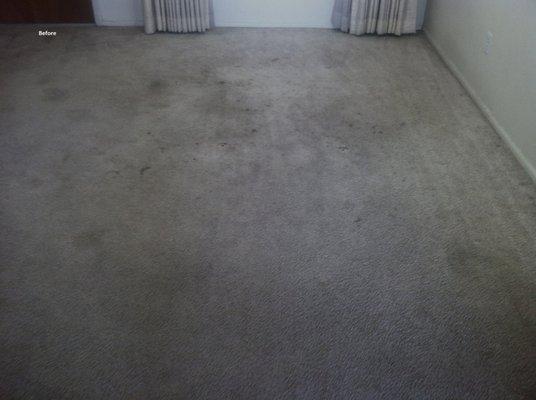 Before carpet cleaning