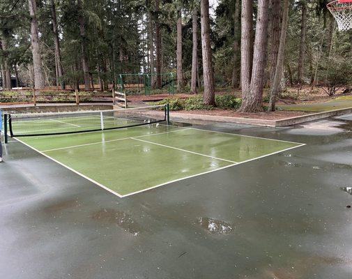 Pickleball Court