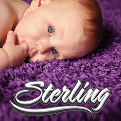 Sterling Carpet Care