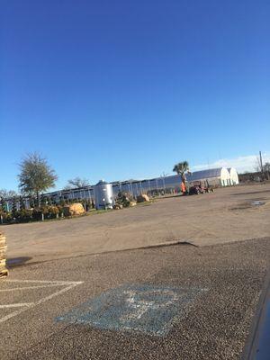 yard and greenhouses