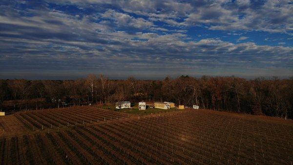 Relax and wine down awhile in the vines of Los Pinos Vineyards.