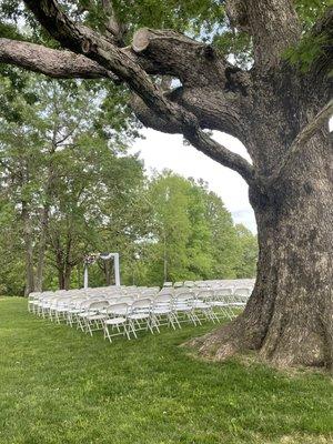 Shady lawn ceremony sight