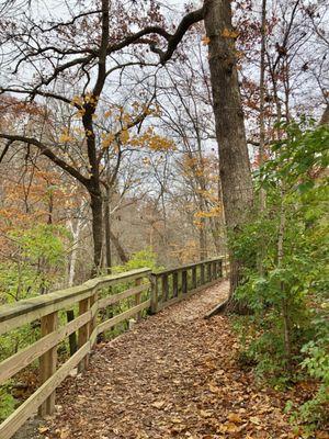 Indian Run Falls