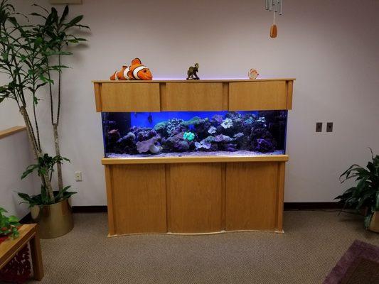 Sky Fish Aquariums and Ponds