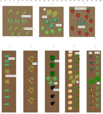 Vegetable Garden Design