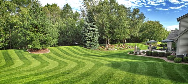 Youth Lawn Care