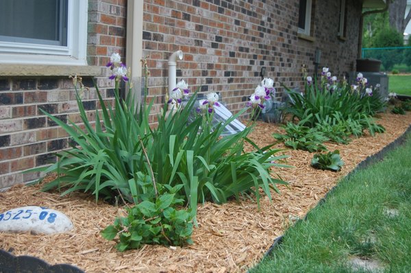 Cypress Mulch