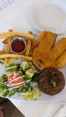 Fried Tilapia, 2 sides and a side salad.