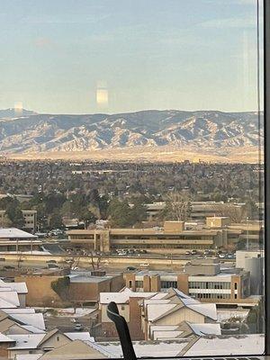 View from Large Conference Room