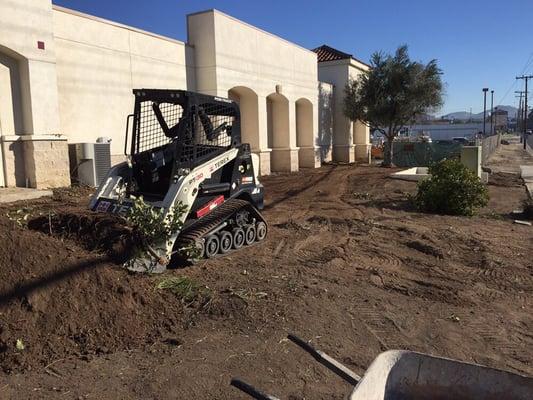 Turf removal site preparation for desert landscape design