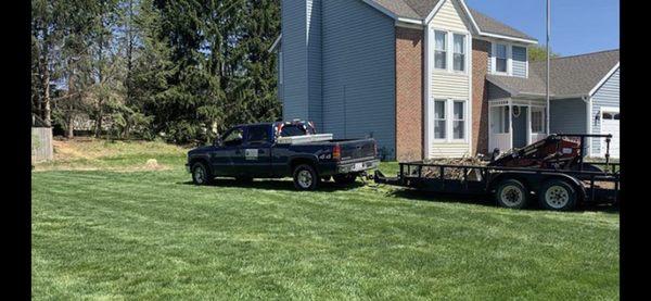 After picture of trees we cut down.