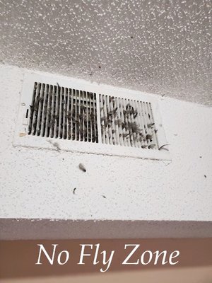 Inspection Find - Bird in vent