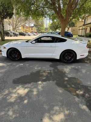 Mustang Ecoboost