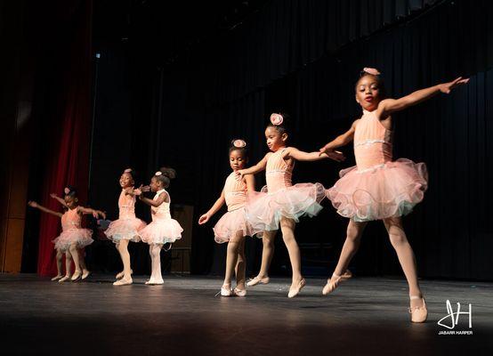 Georgia Stars Academy of Dane Ballet Group